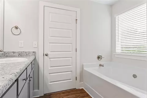 Bath - 11204 Cornerstone Way, Hampton, GA 30228 photo 4 of 5