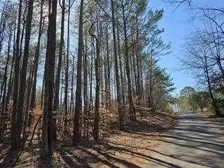 0 Lake Louella Rd, Suwanee, GA 30024