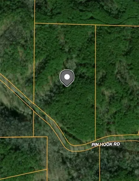 1504 Pinhook Rd, Ranger, GA 30175