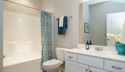 Bath - 524 Lanier Way, Temple, GA 30179 photo 4 of 5