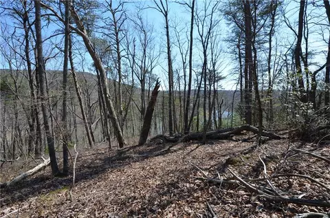 0 S Basin Dr, Jasper, GA 30143 photo 13
