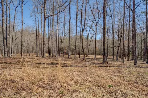 Other - 100 Walnut Ridge Ct, Covington, GA 30014 photo 12 of 12