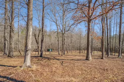 Exterior - 100 Walnut Ridge Ct, Covington, GA 30014 photo 11 of 14