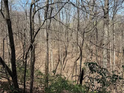 28 Sharp Mountain Ct, Jasper, GA 30143 photo 6