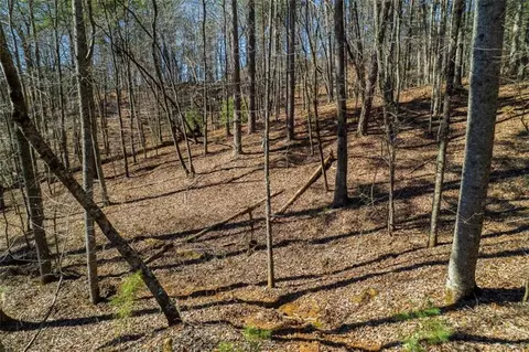 lot68 Julep Cir, Ellijay, GA 30540