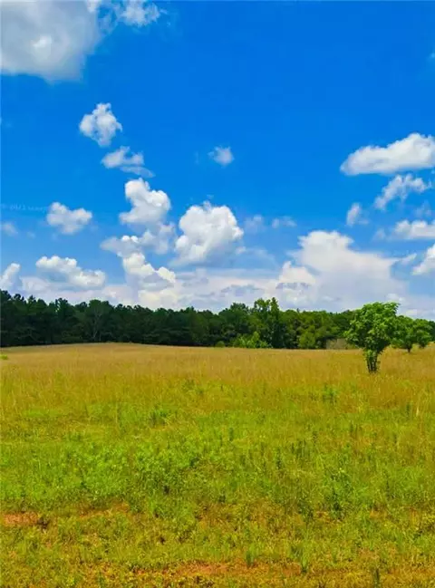 646 Spears Ln, Mansfield, GA 30055