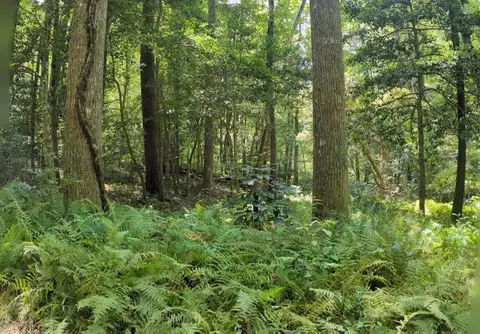 620 Blackberry Ln, Clarkesville, GA 30523