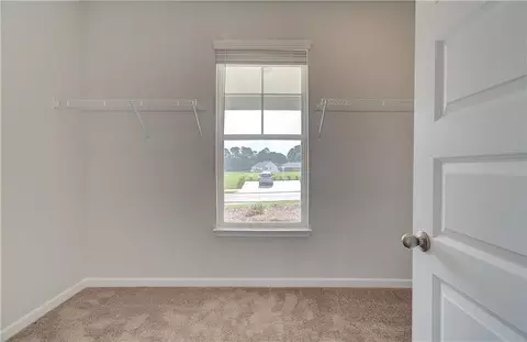 193 Haverling Pass, Hampton, GA 30228 photo 23