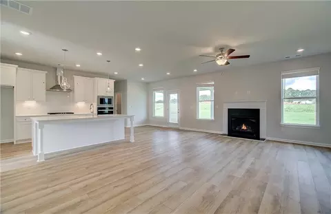 193 Haverling Pass, Hampton, GA 30228 photo 7
