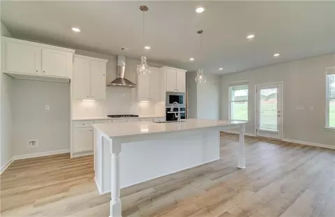 193 Haverling Pass, Hampton, GA 30228 photo 9