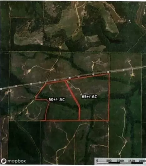 0 Hwy 80, Butler, GA 31006