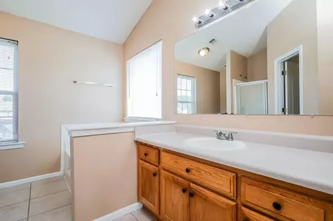 Bath - 10670 Day Lily Dr, Hampton, GA 30228 photo 1 of 3