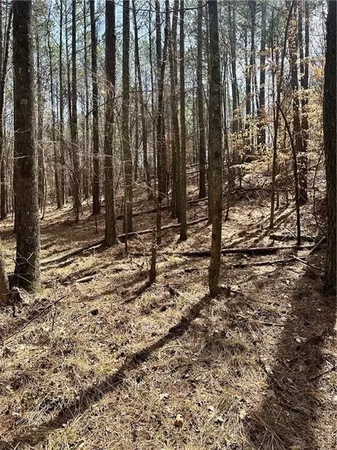 0 Autry Rd SW, Plainville, GA 30733