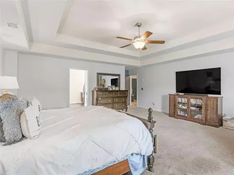 346 M J Mccarthy Way, Hampton, GA 30228 photo 36