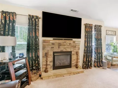 346 M J Mccarthy Way, Hampton, GA 30228 photo 23