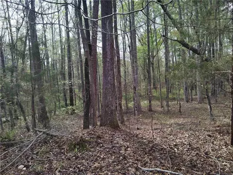 75 Lee, Greenville, GA 30222