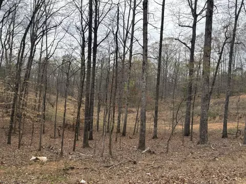0 Summer Lake Rd, Lithia Springs, GA 30122