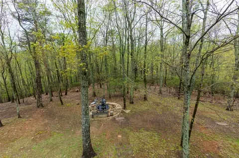 Exterior - 56 Bee Tree Ridge Dr, Jasper, GA 30143 photo 4 of 17