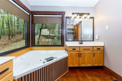 Bath - 56 Bee Tree Ridge Dr, Jasper, GA 30143 photo 3 of 6