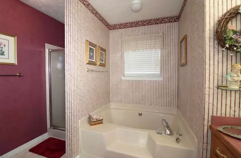 Bath - 3753 Maple Forge Ln, Gainesville, GA 30504 photo 2 of 3