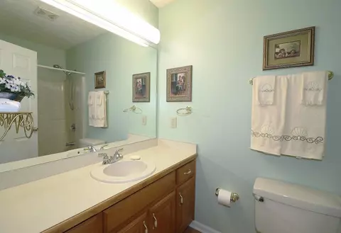 Bath - 3753 Maple Forge Ln, Gainesville, GA 30504 photo 3 of 3