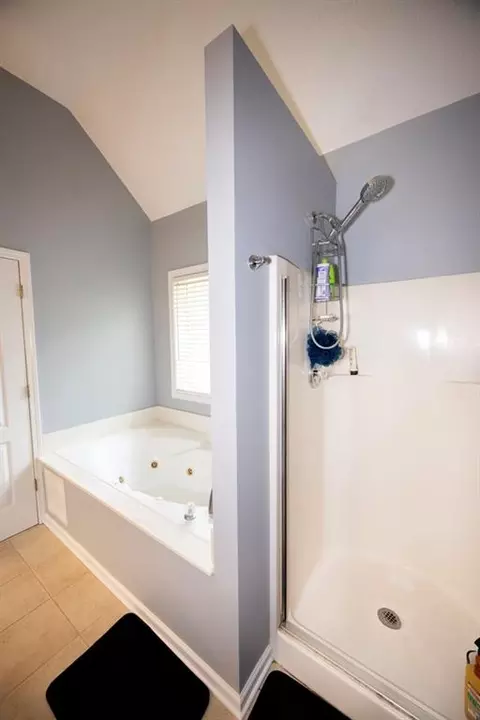 Bath - 794 Lucas Dr, Hampton, GA 30228 photo 3 of 6