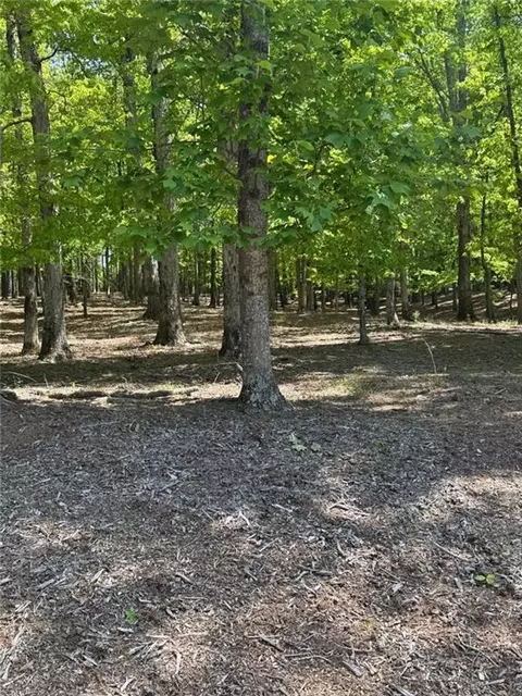 910 Rao Dr, Monroe, GA 30655 photo 2