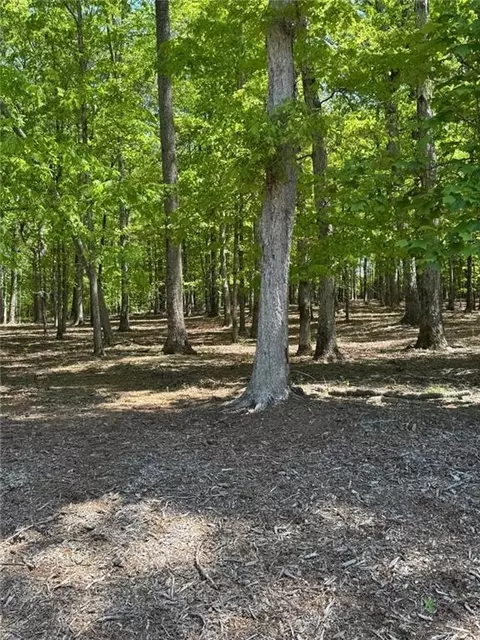 910 Rao Dr, Monroe, GA 30655 photo 3