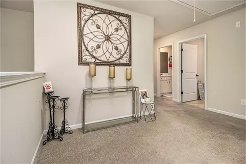 11704 Stovall Pl, Hampton, GA 30228 photo 19