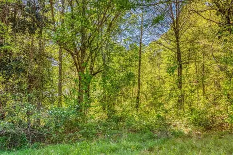 0 Highway 11, Bethlehem, GA 30620 photo 8