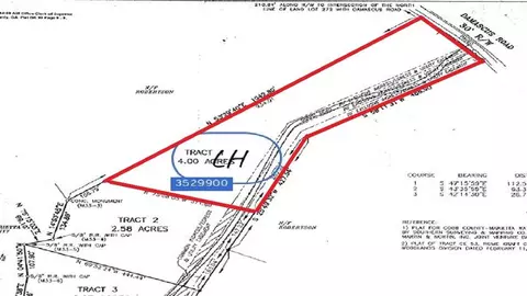 1091 Damascus Rd, Ball Ground, GA 30107