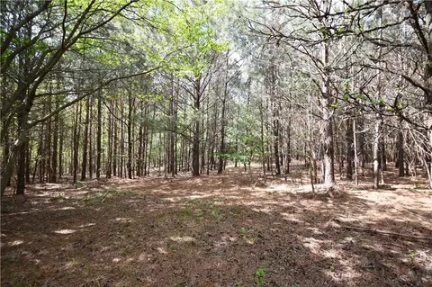 00001 Mt View Rd, Buchanan, GA 30113