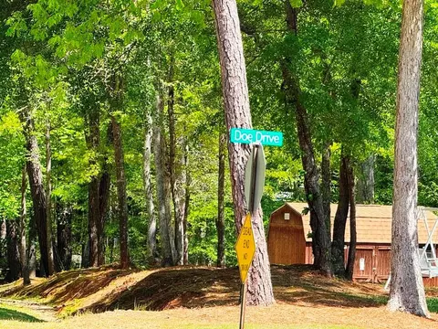 Other - 105 Doe Dr, Temple, GA 30179 photo 7 of 7