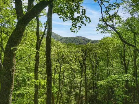 45 Amy Creek Dr, Ellijay, GA 30540