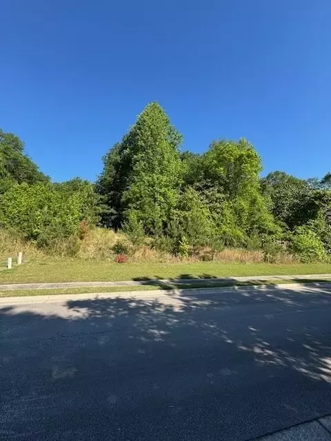 1747 Oak Tree Holw, Gainesville, GA 30501 photo 3