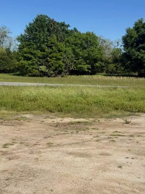 0 Georgia 257 #LOT 9, Pineview, GA 31071