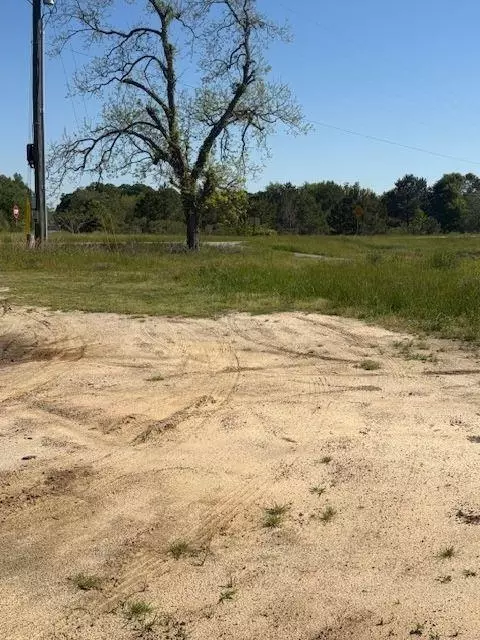 0 Georgia Hwy 257, Pineview, GA 31071