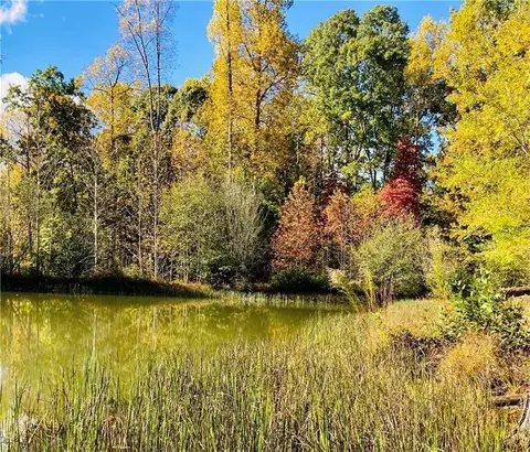 4 Long Mountain Trl, Cleveland, GA 30528