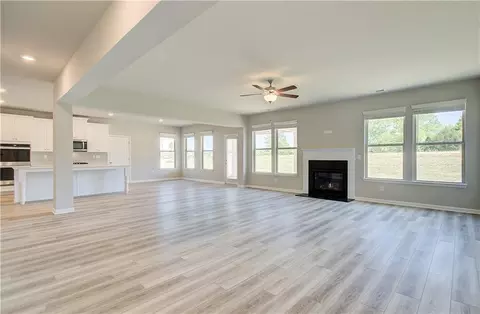 Living - 162 Haverling Pass, Hampton, GA 30252 photo 3 of 7