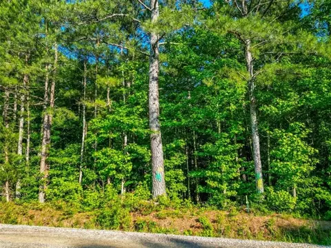 0 Estes Rd, Rutledge, GA 30663 photo 7
