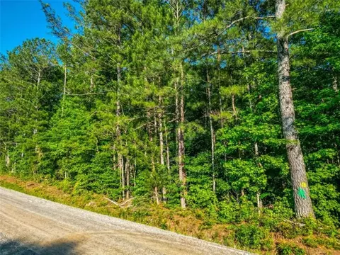 0 Estes Rd, Rutledge, GA 30663 photo 3