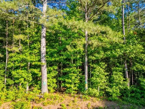 0 Estes Rd, Rutledge, GA 30663 photo 5