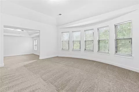 3313 Alhambra Cir, Hampton, GA 30228 photo 18