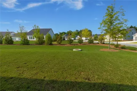 740 Pineberry Ct, Grayson, GA 30017 photo 29