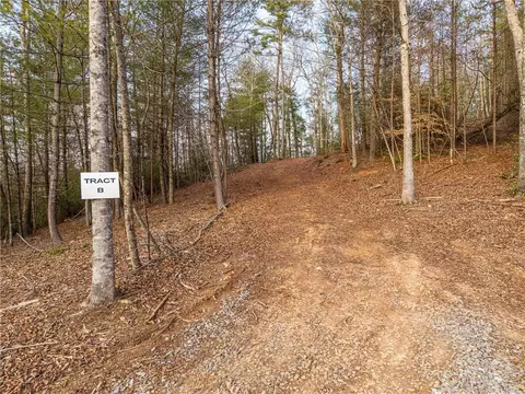 Tr B East New Hope Road, Ellijay, GA 30536