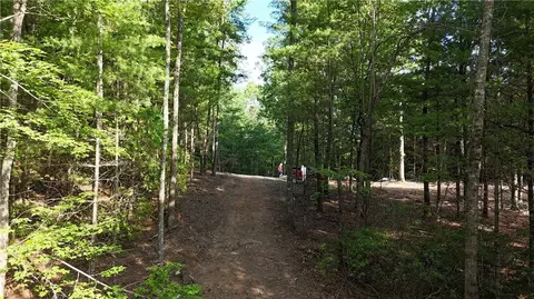 Tr C East New Hope Road, Ellijay, GA 30536