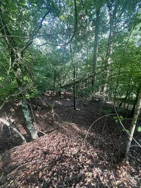 0 S Bend Rd, Gainesville, GA 30506