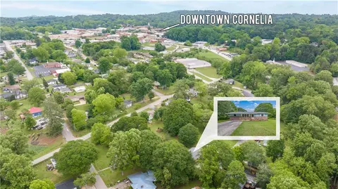 View/Area - 237 Brookside St, Cornelia, GA 30531 photo 9 of 10