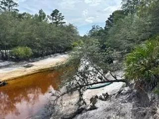 0000 St Marys River Bluff Ltd, Saint George, GA 31562