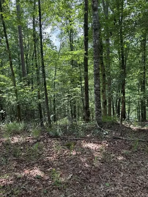 0 Thunderhead Trl, Demorest, GA 30535 photo 2